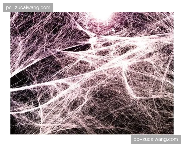 运动员班车空座率动态分析，资源投入向高频时段集中